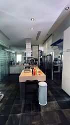 The Legend (D10), Condominium #613562481